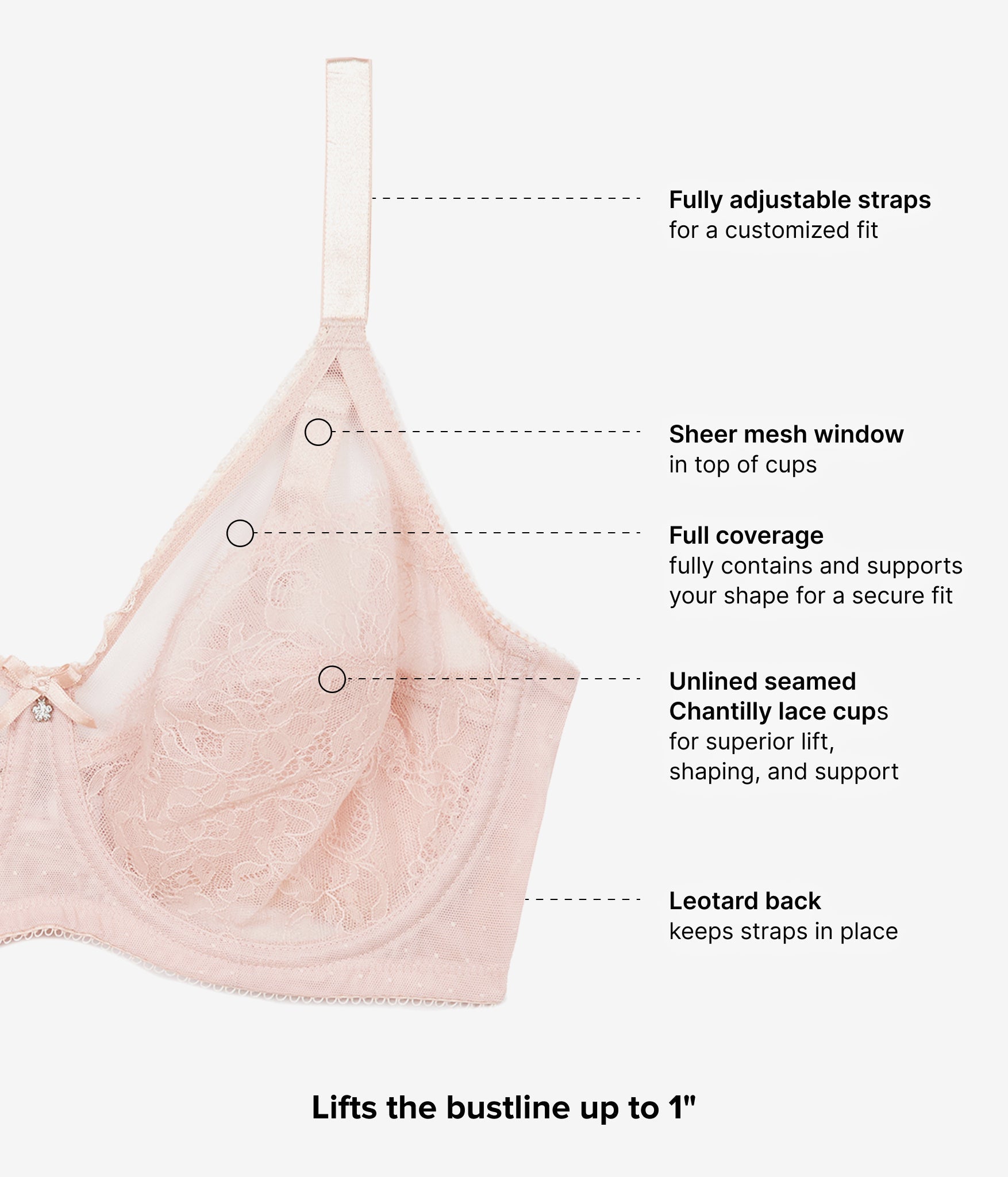 Wacoal Retro Chic Full Figure Underwire Bra - Rose Dust