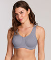 Dapple Gray